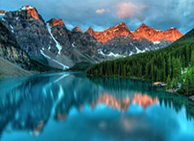 世界杯手机观看-送花环节延续，仪式感拉满！2026上海女子半程马拉松鸣枪起跑，8000名女性跑者用脚步诠释“她力量”